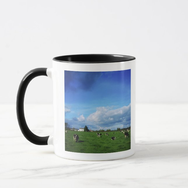 Mug Les bétail de frison du Holstein s'approchent de (Gauche)