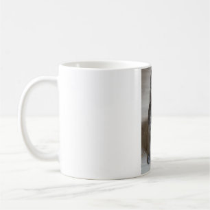Mug Les Chats Sont Les Meilleurs 57