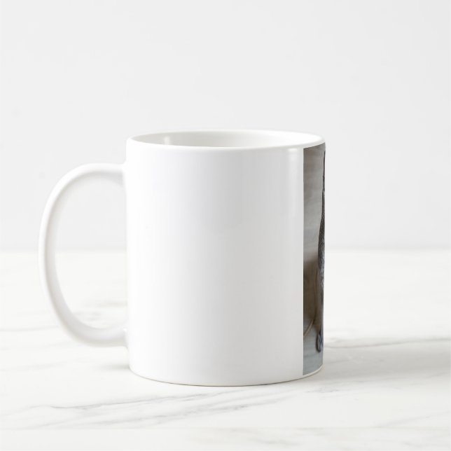 Mug Les Chats Sont Les Meilleurs 57 (Gauche)