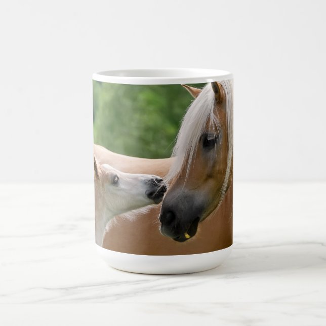 Mug Les chevaux de Haflinger poulinent et jument (Centre)