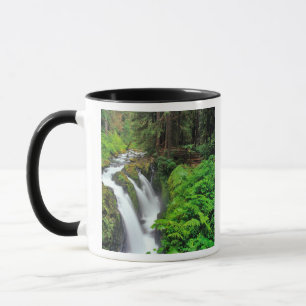 Mug Les chutes de Sol Duc dans le parc national Olympi