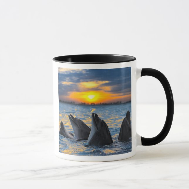 Mug Les dauphins bouteille-flairés dans la lumière de (Droite)