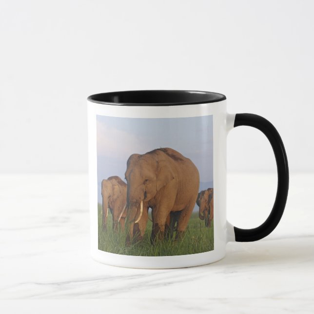 Mug Les éléphants indiens dans les Prairies (Droite)