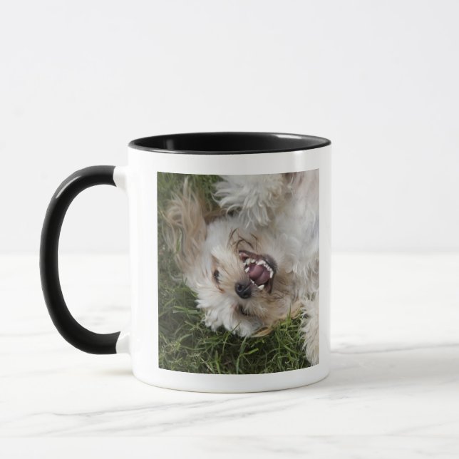 Mug Les Etats-Unis, la Floride, Ponte Vedra Beach (Gauche)