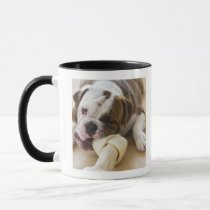 Mug Les Etats-Unis, New Jersey, Jersey City, chiot