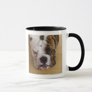 Mug Les Etats-Unis, New Jersey, Jersey City, portrait