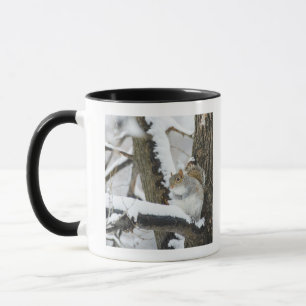 Mug Les Etats-Unis, New York, New York City, séance