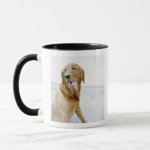 Mug Les Etats-Unis, Utah, Salt Lake City, moitié ont