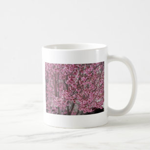 Mug Les fleurs de cerisiers Sakura sont roses