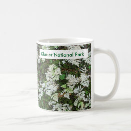 Mug Les fougères du parc national des Glaciers, Montan