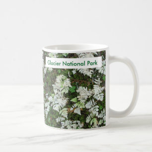 Mug Les fougères du parc national des Glaciers, Montan