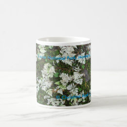 Mug Les fougères du parc national des Glaciers, Montan