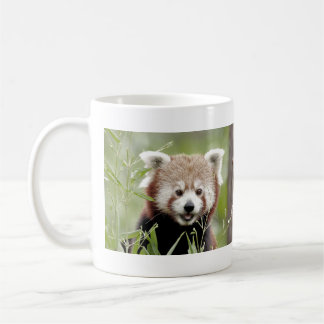 Mug Les grenouilles photo panda rouge. Panda roux. ani