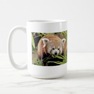 Mug Les grenouilles photo panda rouge. Panda roux. ani
