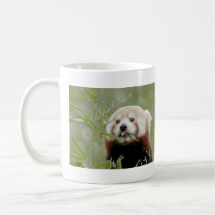 Mug Les grenouilles photo panda rouge. Panda roux. ani