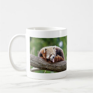 Mug Les grenouilles photo panda rouge. Panda roux. ani
