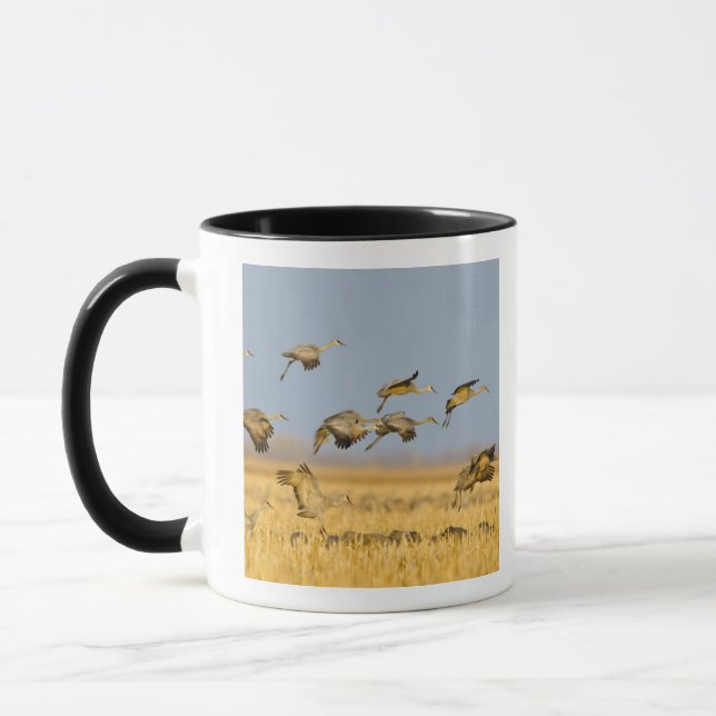 Mug Les grues de Sandhill atterrissent dans les champs (Gauche)
