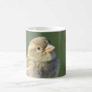 Mug Les oiseaux me font sourire Maison Sparrow Nature