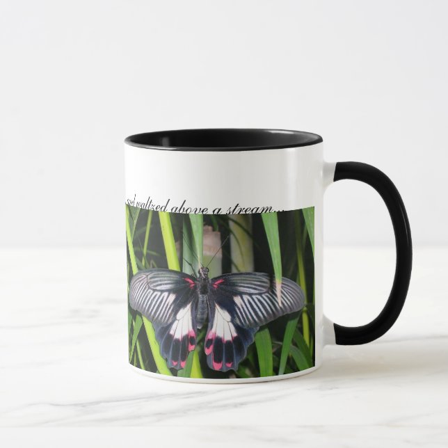 Mug les papillons, deux papillons sont allés OU… (Droite)