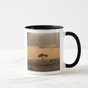 Mug Les rayons du soleil laser à travers l'après-midi