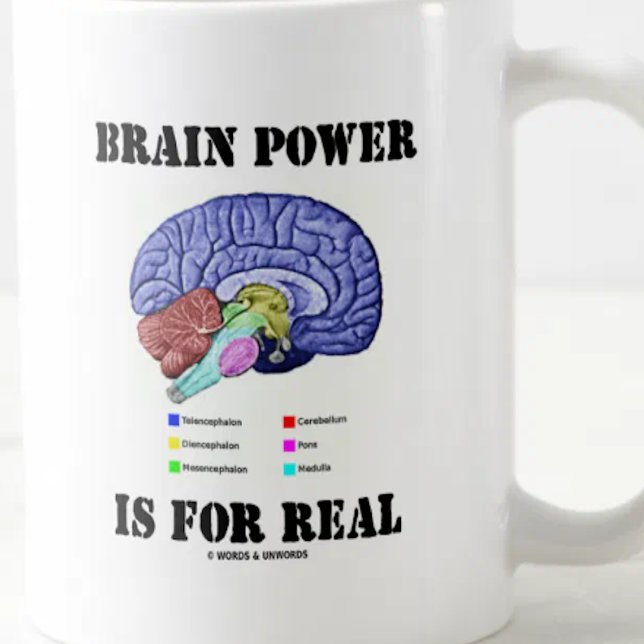 Mug Les ressources intellectuelles sont pour vrai (Do a double-take on brain power with anatomical attitude with this truism saying mug!)