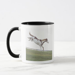 Mug L'état des Etats-Unis, New-York, le Hudson, cheva