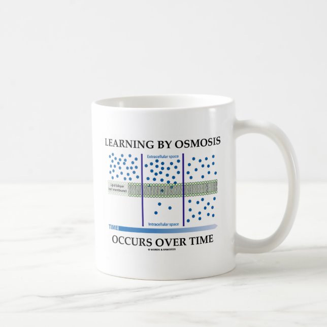 Mug L'étude par osmose se produit au fil du temps (Droite)