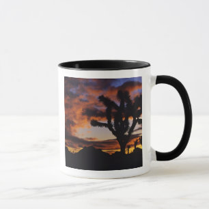 Mug Lever de soleil spectaculaire à Joshua Tree Nation