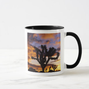 Mug Lever de soleil spectaculaire au parc national de