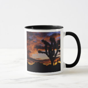 Mug Lever du soleil spectaculaire à Joshua Tree Nation