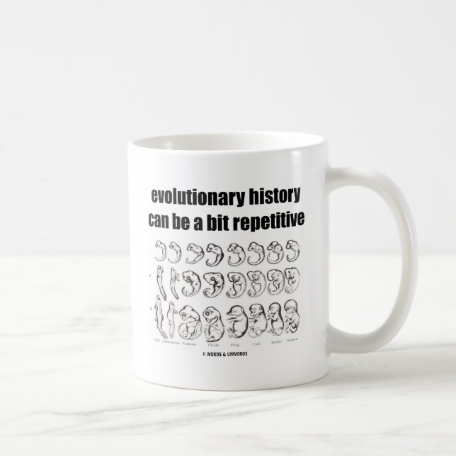 Mug l'histoire évolutionnaire peut être un peu (Droite)