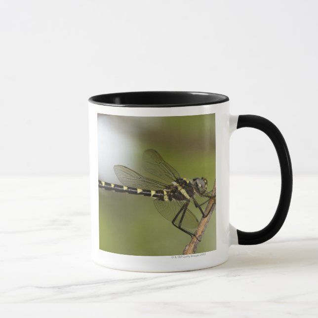 Mug Libellule 5 (Droite)