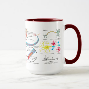 Mug "Lien de neurone ? "