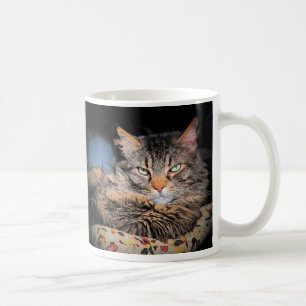 Mug Lignes de prélèvement de chats incorrectes #1