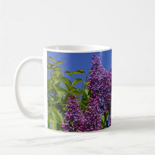 Mug lilas, véritable image lilas, ciel bleu, fleurs v