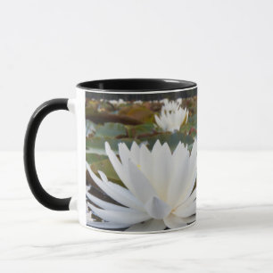 Mug Lily D'Eau Parfumée (Nymphaea Odorata) Sur Caddo