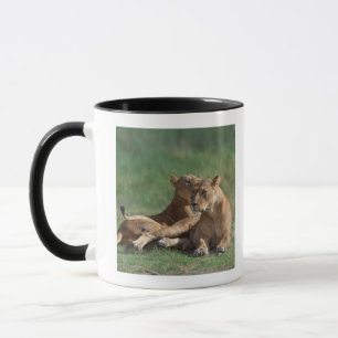 Mug Lion 5