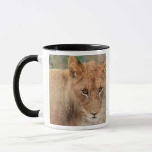 Mug Lion CUB