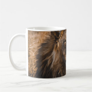 MUG LION DANS LE PARC NATIONAL D'ETOSHA