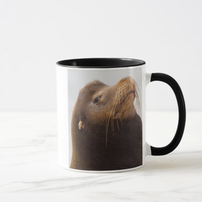 Mug Lion de mer de Californie (Droite)