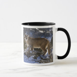 Mug Lion de montagne