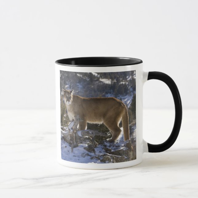 Mug Lion de montagne (Droite)