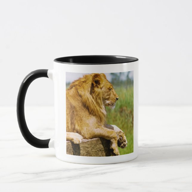 Mug Lion se trouvant sur une roche (Gauche)
