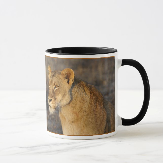 Mug Lion sud-africain (Droite)