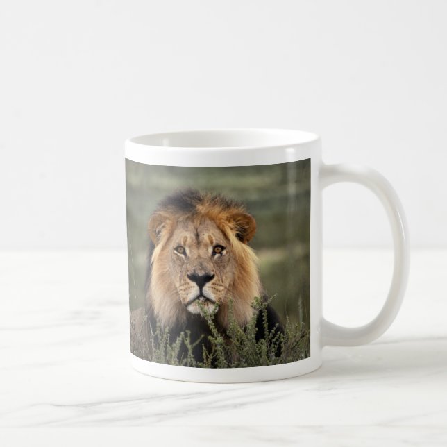 Mug Lion vigilant (Droite)