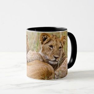Mug Lionceaux se prélassant