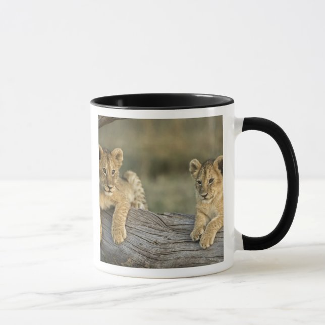 Mug Lionceaux sur une bûche (Droite)