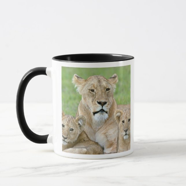 Mug Lionne et deux petits, Afrique de l'Est, Tanzanie, (Gauche)