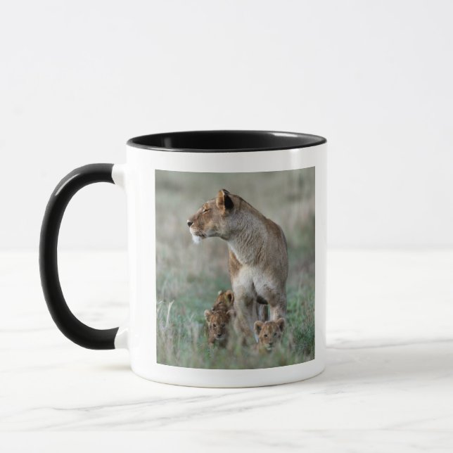 Mug Lionne (Panthera Lion) et petits animaux, masais (Gauche)