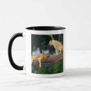 Mug Lionnes dans un arbre
